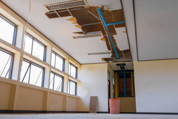 Best Flood damage cleanup  in Winder, GA