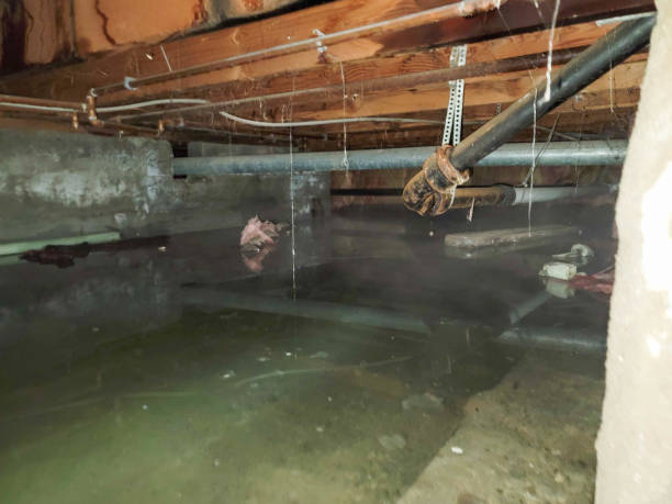 Best 24-hour water damage restoration  in Winder, GA