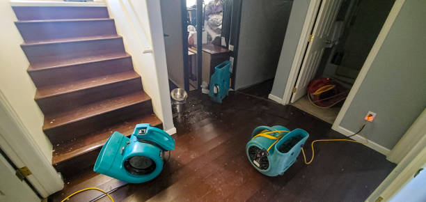 Best Water damage cleanup near me  in Winder, GA