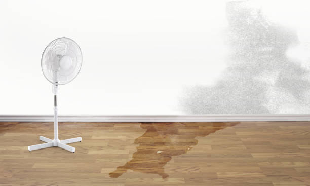 Best Local water damage restoration  in Winder, GA