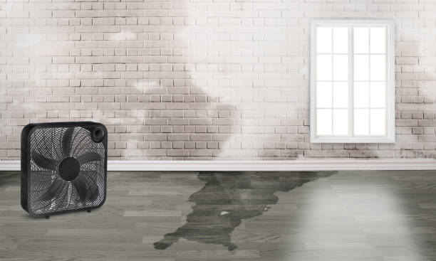 Best 24-hour water damage restoration  in Winder, GA