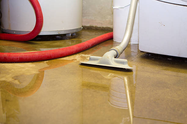 Best Water damage restoration mold remediation  in Winder, GA