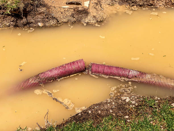 Trusted Winder, GA Water damage restoration Experts