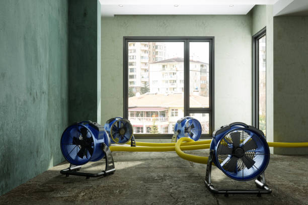 Best Local water damage restoration  in Winder, GA