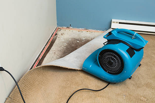 Best Water damage restoration specialists  in Winder, GA